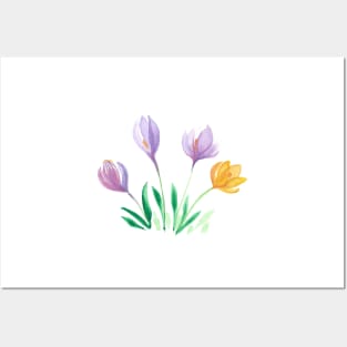 Colorful flowers in spring Posters and Art